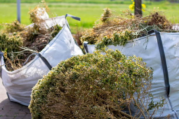 Best Construction Debris Removal  in Mills, WY